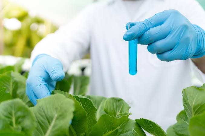 Biopesticide Testing