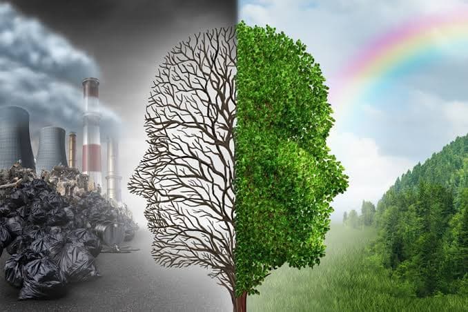 Environmental Risk