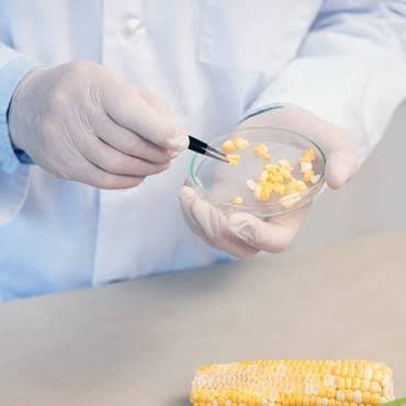 Food Contaminants Testing
