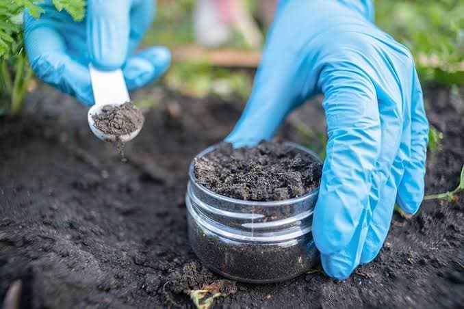 Soil Services