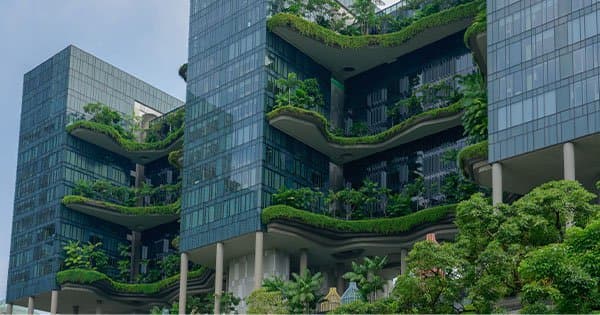 Carbon Services